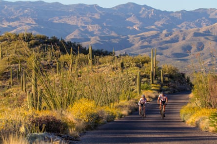 Cyclists ride the Cactus Loop road in Saguaro national park