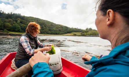 Claire Fletcher (left) collecting sea lettuce, a botanical used in Lussa gin