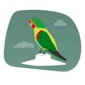 Illustration of swift parrot