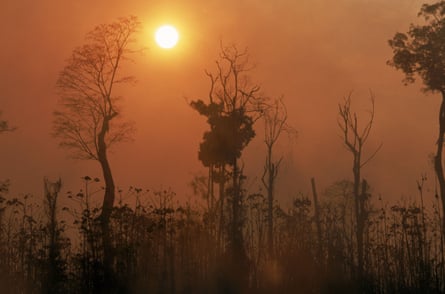 Sol visto através de uma névoa escura com árvores solitárias em silhueta