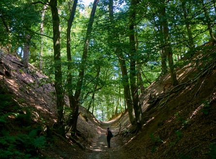 Woman hiking in Surrey Hills on a holloway type path