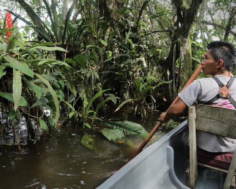 Victor exploring the flooded forest by the lake, Yasuni National Park, Ecuador