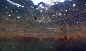 Patches of oil from the Deepwater Horizon spill are seen from an underwater vantage in the Gulf of Mexico on 7 June 2010.