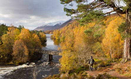 A hiker in Glen Affric amid Autumn-coloured trees, Highlands, Scotland.