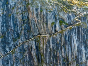 Dozens sheep walk along the narrow ledge of a cliff face