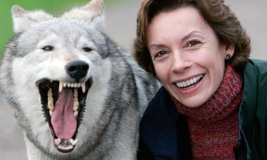 Paver with a wolf in 2004.