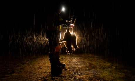Man holding two wallabies by the tail silhouetted against car headlights
