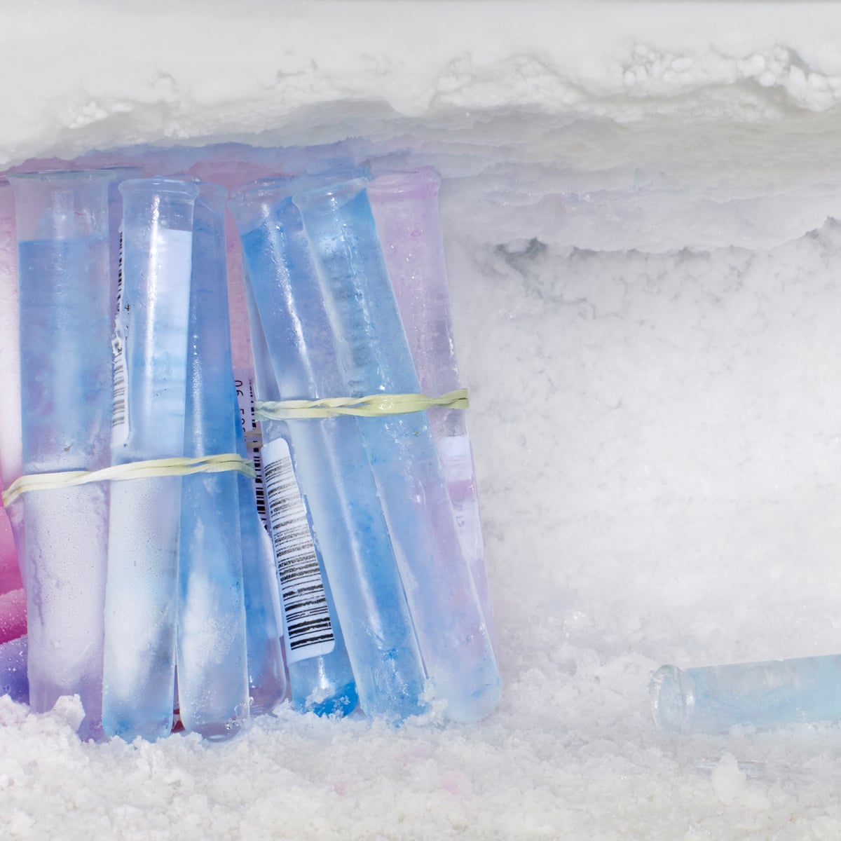 We Need To Talk About Egg Freezing Fertility Problems The Guardian We Need To Talk About Egg Freezing Fertility Problems The Guardian