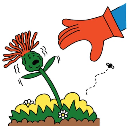 désherbage + jardinier
