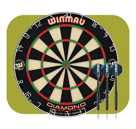 HomeGarden dartboard