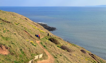 Walkers on a path by daffodils on Filey Brigg, natural rock promontory, Filey, North Yorkshire