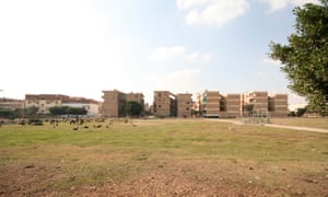 Sheep graze in public space around standard five-storey public housing blocks in 10th of Ramadan