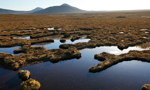 The Flow Country – the largest blanket bog in Europe.
