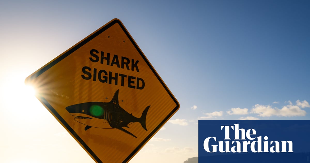 Shark bites are down globally – so why are they going up in Australia? It’s complicated
