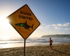 Shark bites are down globally – so why are they going up in Australia? It’s complicated