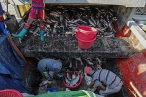 Children unload fish from a boat at San Pya fish market in Yangon, Myanmar. The opening up of the economy has triggered a demand for child labour. Children unload fish from a boat at San Pya fish market in Yangon, Myanmar. The opening up of the economy has triggered a demand for child labour.