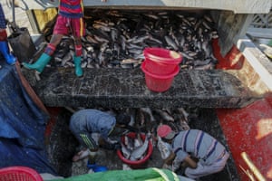 Children unload fish from a boat at San Pya fish market in Yangon, Myanmar. The opening up of the economy has triggered a demand for child labour.
