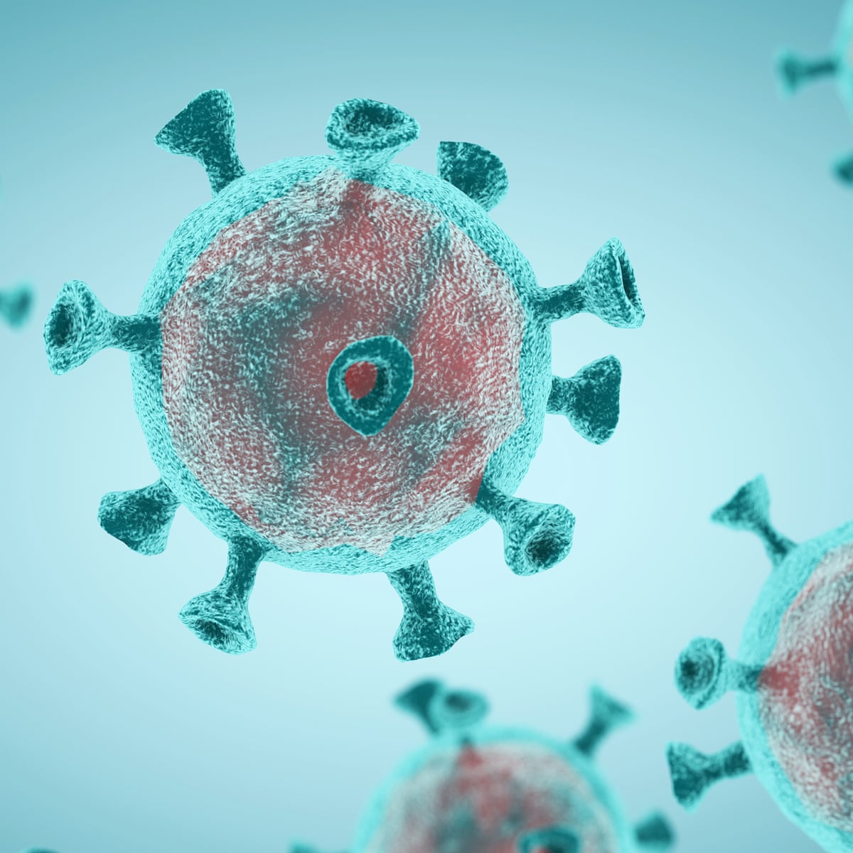 It S A Razor S Edge We Re Walking Inside The Race To Develop A Coronavirus Vaccine Coronavirus The Guardian It S A Razor S Edge We Re Walking Inside The Race To Develop A Coronavirus Vaccine Coronavirus The Guardian