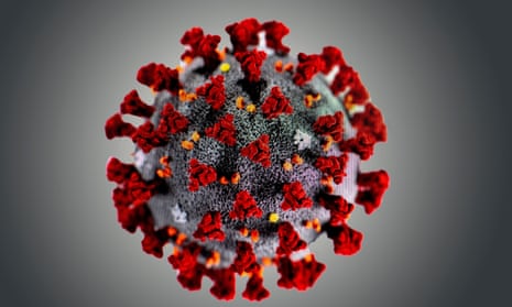 Covid: hopes for Oxford nasal vaccine dealt blow after poor trial results Covid: hopes for Oxford nasal vaccine dealt blow after poor trial results