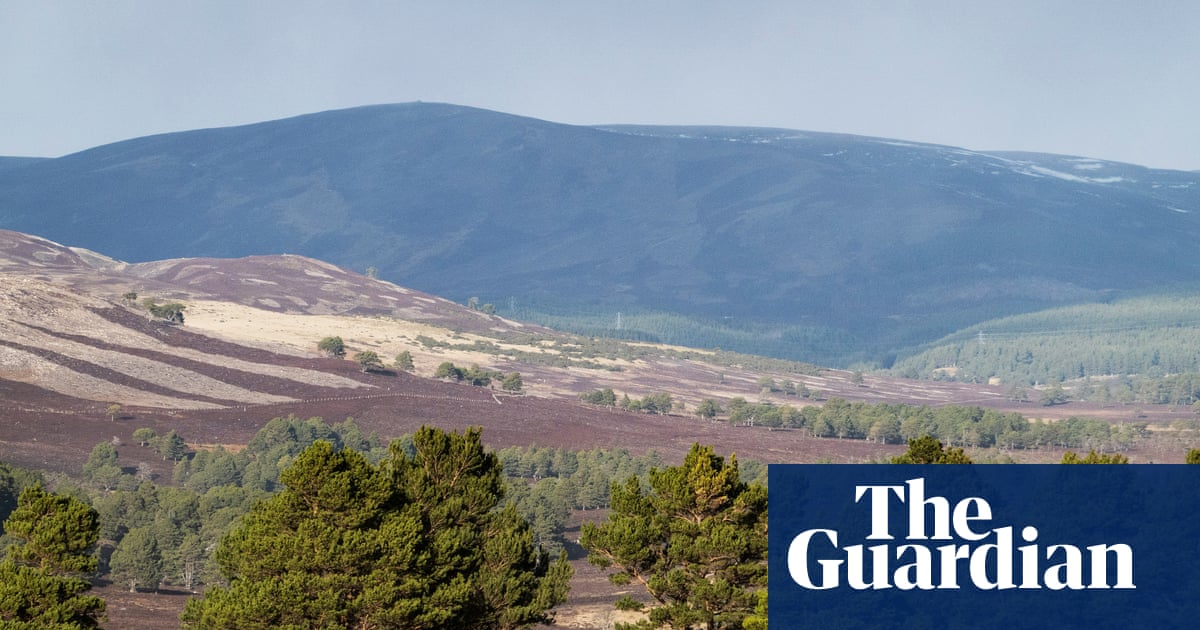 BrewDog sells Scottish ‘rewilding’ estate it bought only five years ago