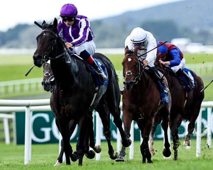 Hawk Mountain can scale Doncaster heights for O’Brien in Futurity Trophy