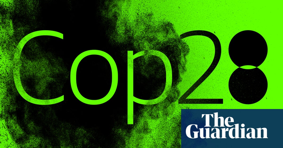 Cop28: what could the climate conference achieve?