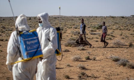 Pest-control sprayers in the desert near Garowe, in the semi-autonomous Puntland region of Somalia.