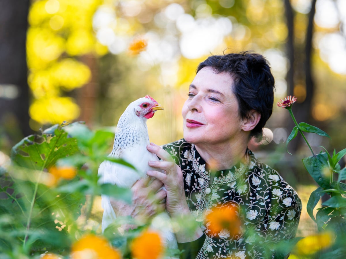 Pictures of isabella rossellini