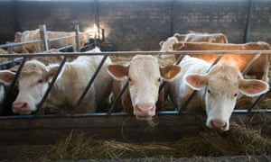The farming sector contributes £9.9bn to the UK economy and employs almost half a million people.