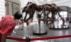 Christie's cancels T rex skeleton auction after doubts raised