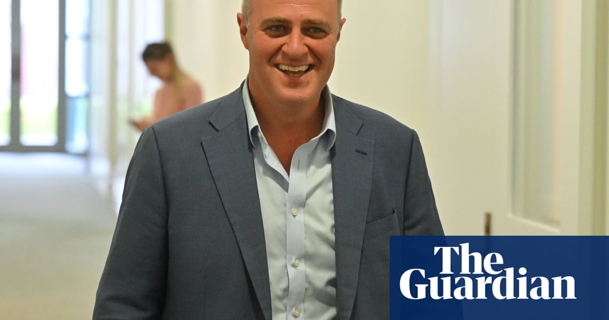 Tim Wilson urges scrutineers to ‘knock out informal votes’ for Zoe Daniel in leaked WhatsApp messages