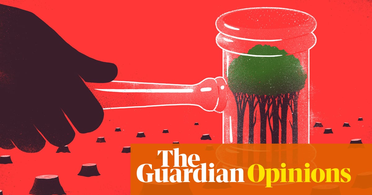 Tulanes Mental Health Meltdown Must >> Our Laws Make Slaves Of Nature It S Not Just Humans Who Need Rights Tulanes Mental Health Meltdown Must >> Our Laws Make Slaves Of Nature It S Not Just Humans Who Need Rights