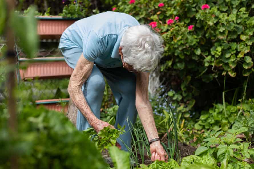 Meherne gardening