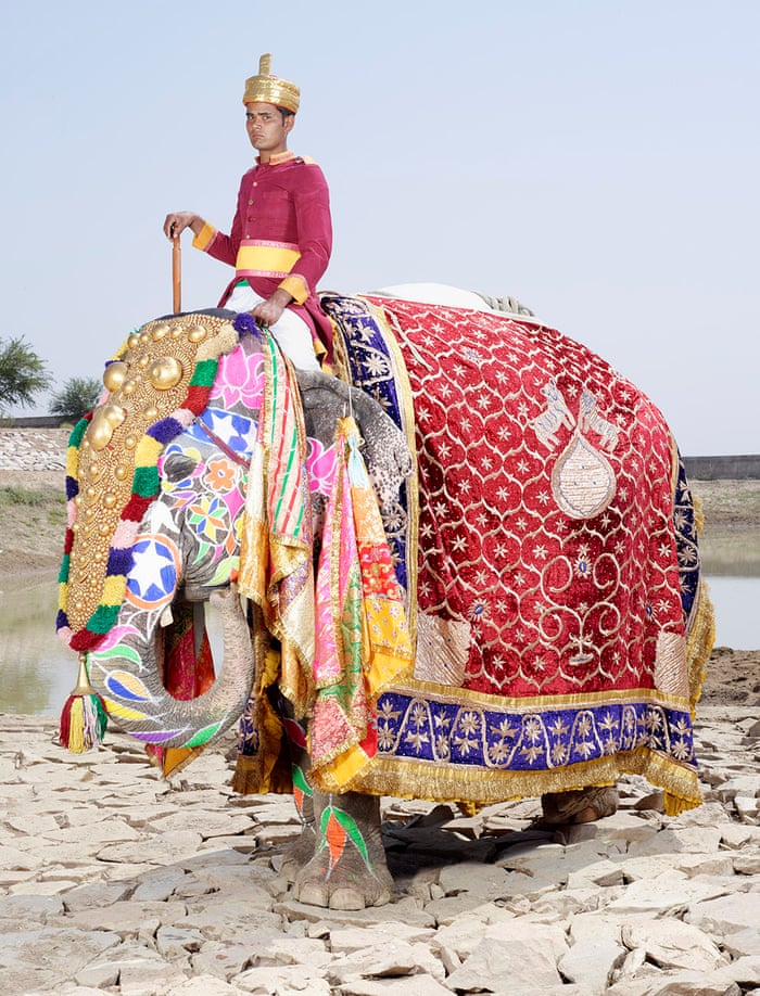 The Extraordinary Painted Elephants Of India In Pictures Art