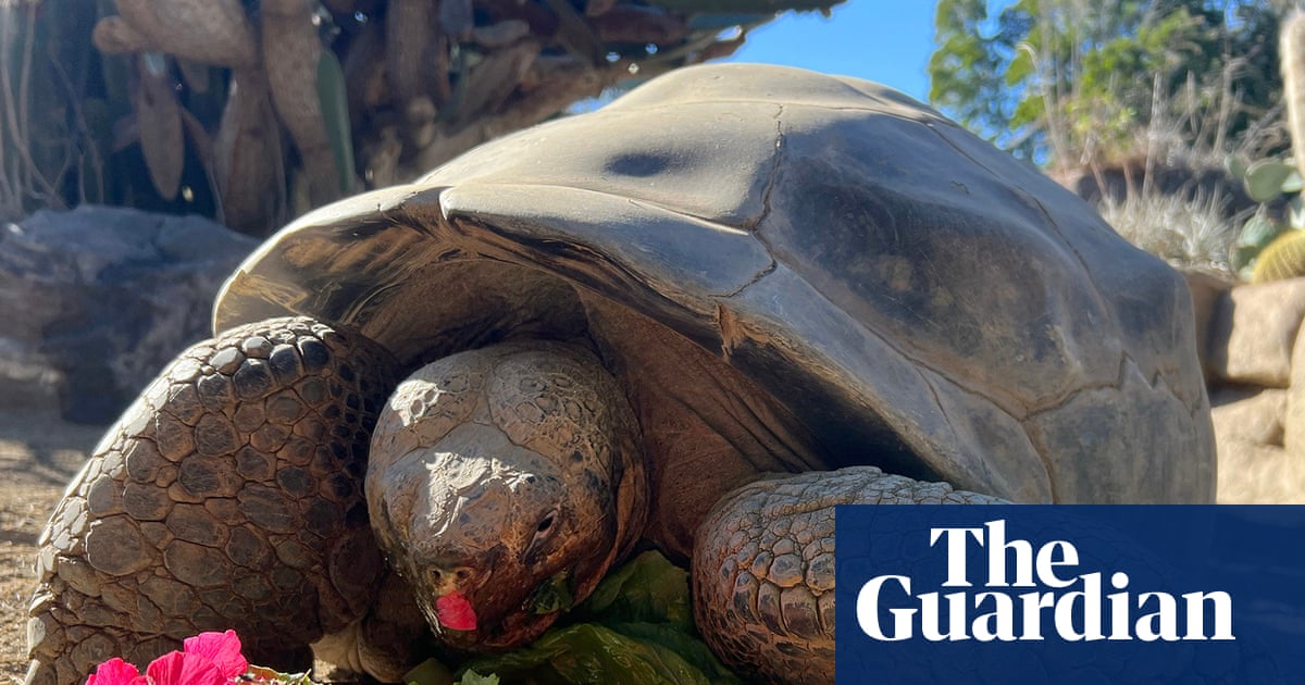 Queen of the Zoo': Gramma, tortoise who lived through two world wars, dies aged 141
