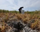 ‘Supersizing before our eyes’: UN warns of record El Niño approaching ‘Supersizing before our eyes’: UN warns of record El Niño approaching