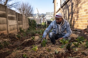 Siyabonga Ndlangamandla, coordinator of the Makers Valley Growing Community, maintains one of the food gardens he has set up in the area
