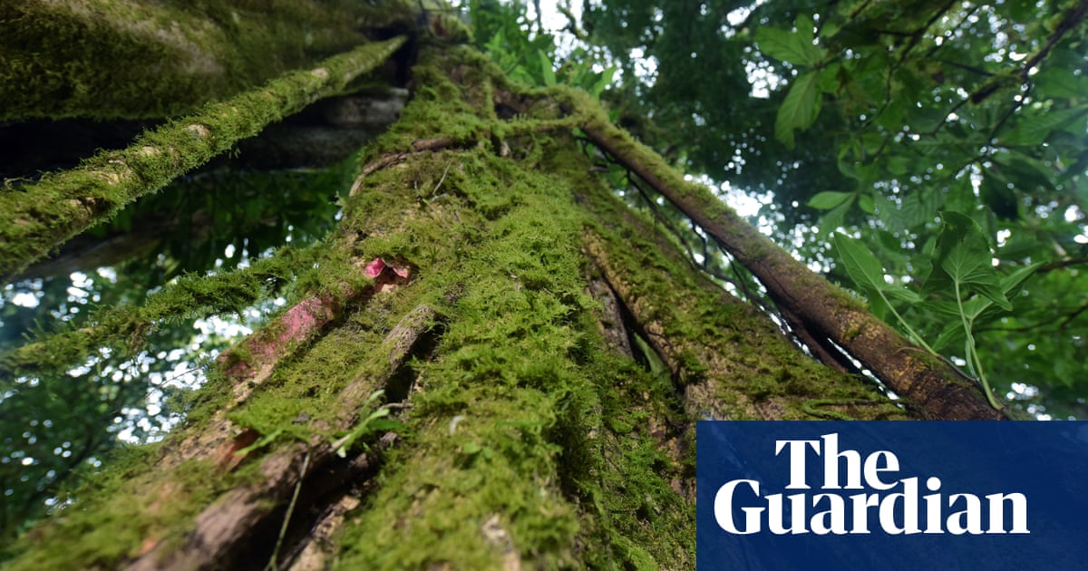 Costa Rica unveils plan to achieve zero emissions by 2050 in climate change fight