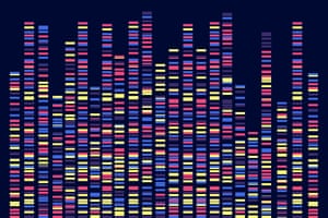 A visualisation of genomic data from a DNA test.