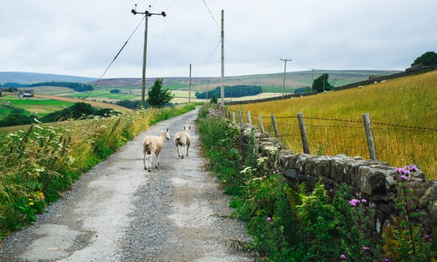 Heading towards Walshaw on Cow Lane.