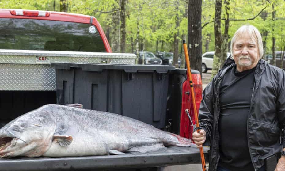 Cronley’s fish broke the previous rod-and-reel record of a 95-pound (43.1-kilogram) fish caught in 2009.