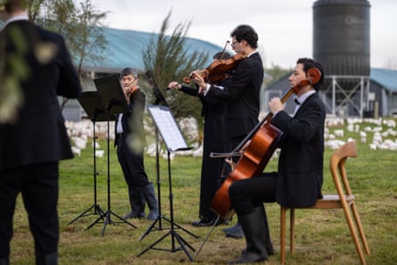 A live orchestral performance at the Bostock Brothers’ farm in Hawke’s Bay New Zealand.