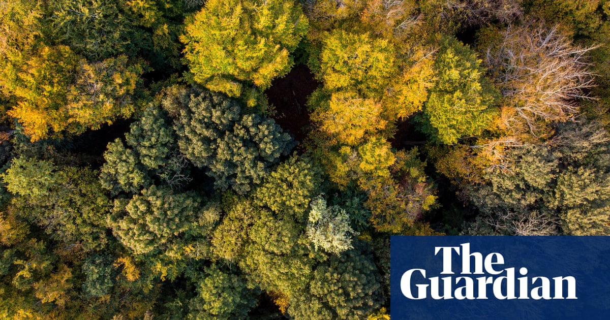 Scotland’s rainforests are a biodiversity treasure