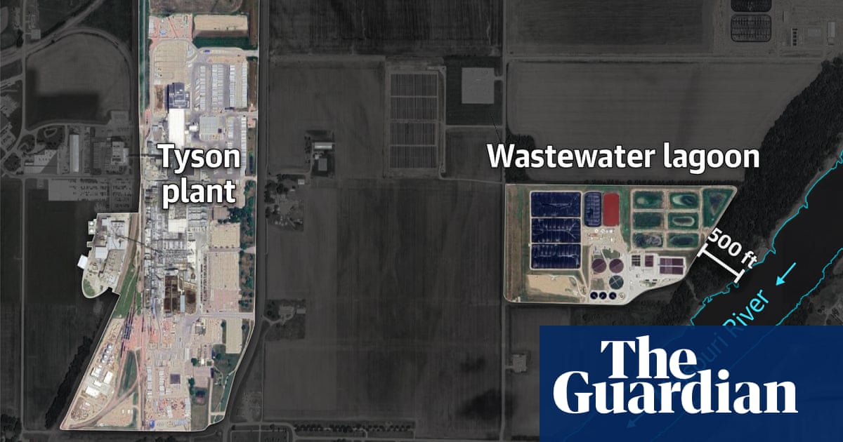Revealed: Tyson Foods dumps millions of pounds of toxic pollutants into US rivers and lakes | Environment