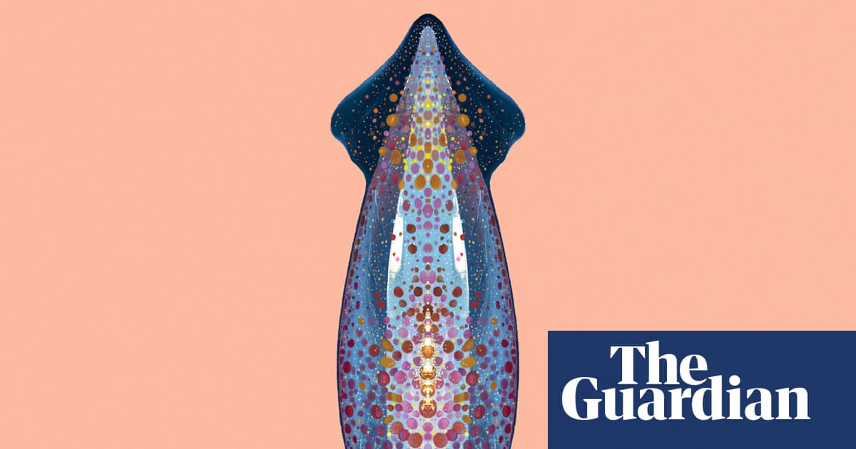 ‘Like an alien invasion’: the neon flying squid that can fly in formation above the ocean