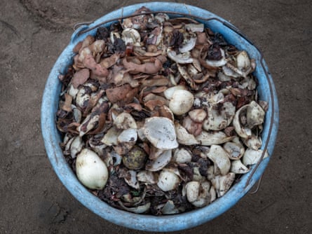 Vegetables and leftovers in a bucket collected from the garbage