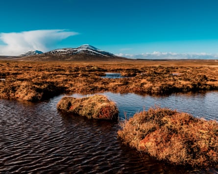 Patches of peatland bog sitting in water, with a snow-capped hill in the distance