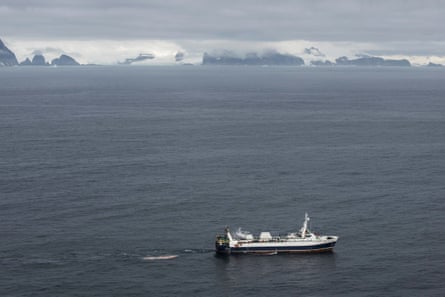 In the Antarctic, the major fishing companies now back the creation of the world’s biggest marine sanctuary.