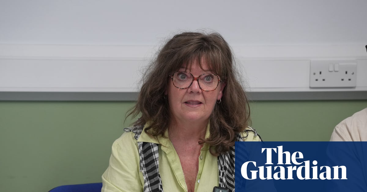 Pro-Palestine activists who were sentenced as terrorists launch appeal