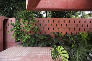 Pink concrete and green plants